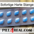 Instant Hard Rod viagra3